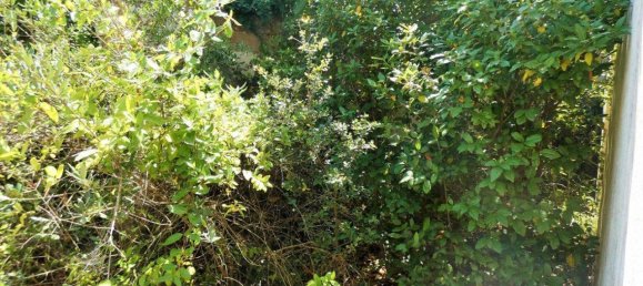 Grundstück in Neviano, Italy 3000m², Nr. 122537 9