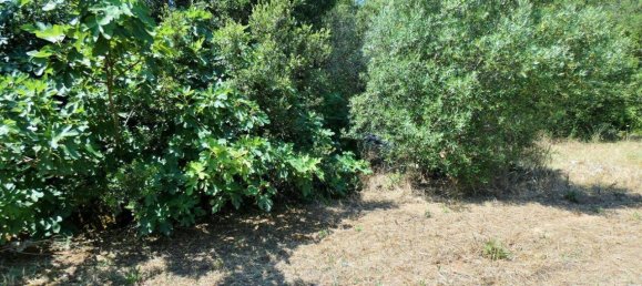 Grundstück in Neviano, Italy 3000m², Nr. 122537 7