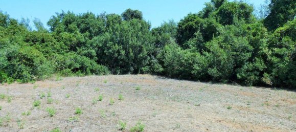 Grundstück in Neviano, Italy 3000m², Nr. 122537 4