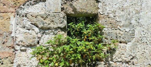 Grundstück in Neviano, Italy 3000m², Nr. 122537 10