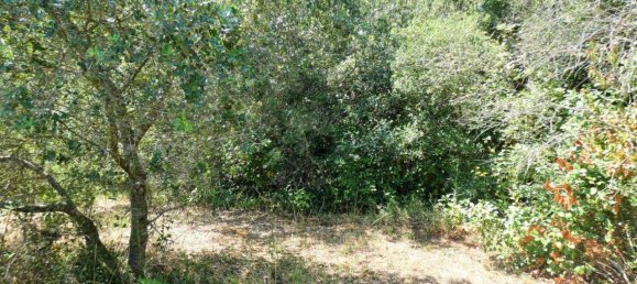 Grundstück in Neviano, Italy 3000m², Nr. 122537 11