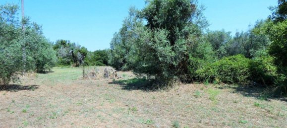 Grundstück in Neviano, Italy 3000m², Nr. 122537 5