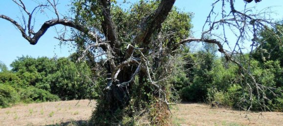 Grundstück in Neviano, Italy 3000m², Nr. 122537 3