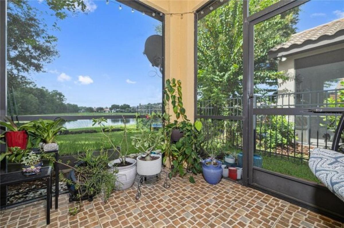 4 bedrooms House in Tampa, USA No. 256954