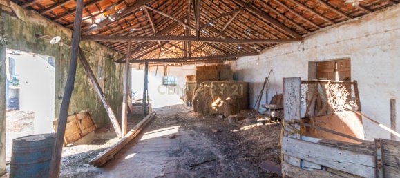 Lagerhaus in Alcanena, Portugal 584m², Nr. 15260 19