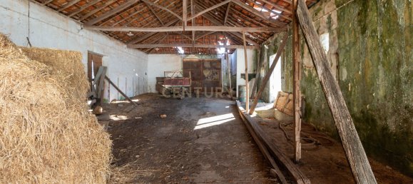 Lagerhaus in Alcanena, Portugal 584m², Nr. 15260 26