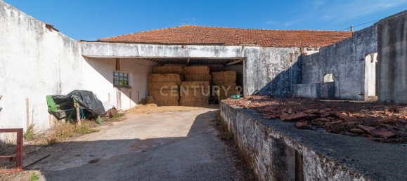 Lagerhaus in Alcanena, Portugal 584m², Nr. 15260 14