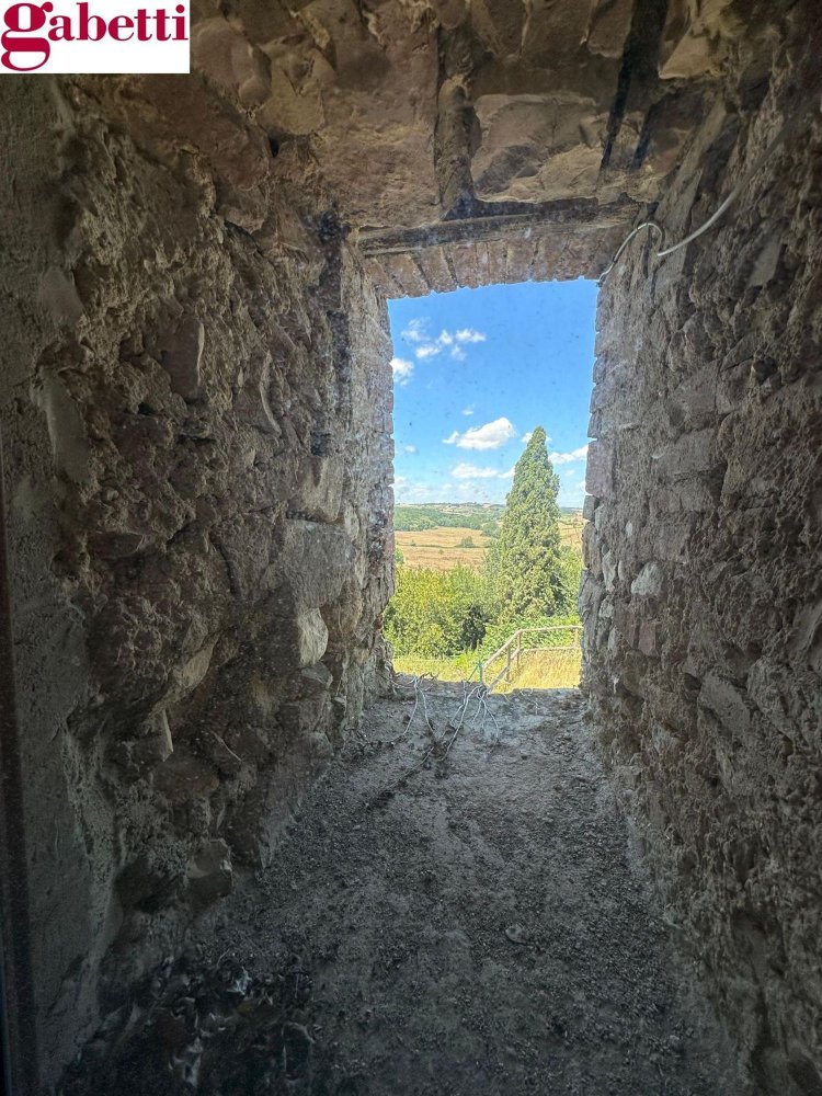 5 rooms Apartment in Siena, Italy No. 289102