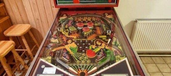 5-Zimmer Haus in Herzogsdorf, Austria, Nr. 178047 4