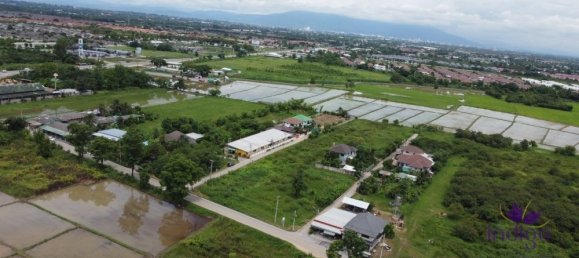  Land in San Kamphaeng, Thailand No. 23374 7