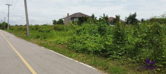  Land in San Kamphaeng, Thailand No. 23374 11