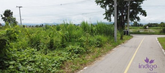  Land in San Kamphaeng, Thailand No. 23374 12