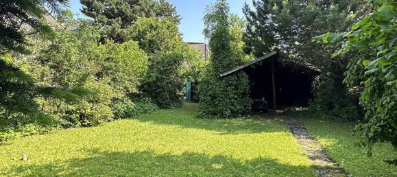 5 rooms House in Liesing, Austria No. 228736 3