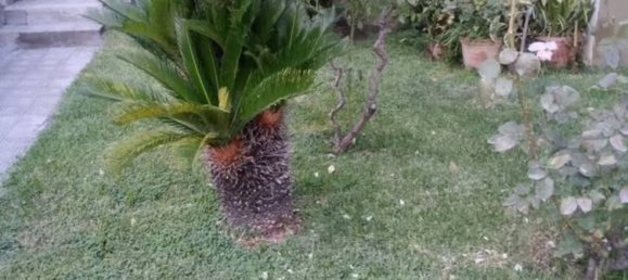 4غرفة شقة في Giarre, Italy رقم 259684 13