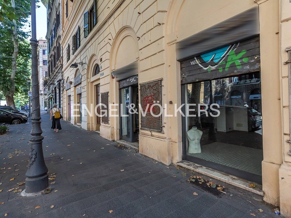 5 rooms Commercial property in Rome, Italy No. 131378