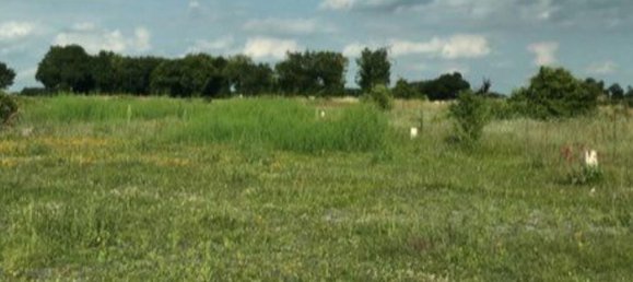 Terrain à Beauvoir-sur-Niort, France 13512m² No. 119204 4