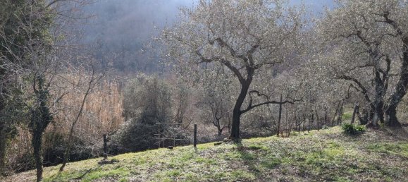 8-salle Maison à Fivizzano, Italy No. 67708 15