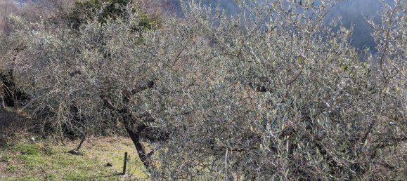 8-salle Maison à Fivizzano, Italy No. 67708 19