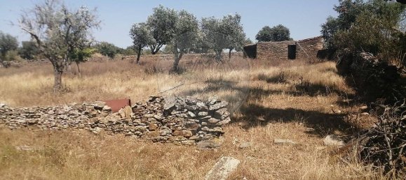 3 Schlafzimmer Haus in Montalvao, Portugal, Nr. 18264 35