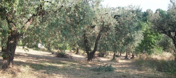 1500m² Land in Lanciano, Italy No. 158310 15