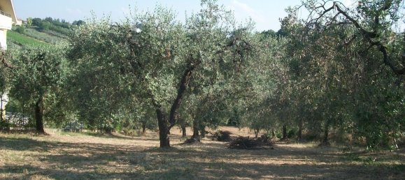 1500m² Land in Lanciano, Italy No. 158310 16