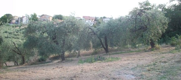 1500m² Land in Lanciano, Italy No. 158310 5