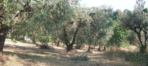 1500m² Land in Lanciano, Italy No. 158310 13