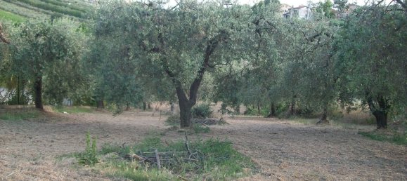 1500m² Land in Lanciano, Italy No. 158310 3