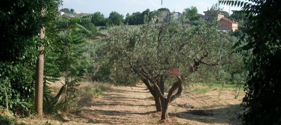 1500m² Land in Lanciano, Italy No. 158310 12