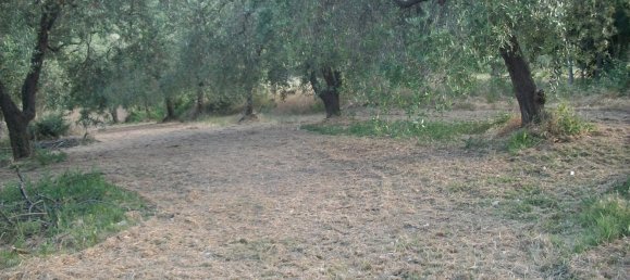 1500m² Land in Lanciano, Italy No. 158310 4