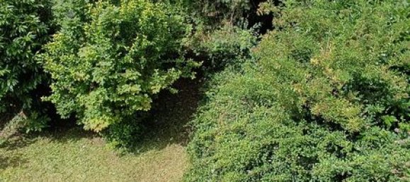 2 غرف نوم منزل في Buzancais, France رقم 240676 25