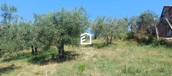 2 bedrooms House in Guardea, Italy No. 269047 17