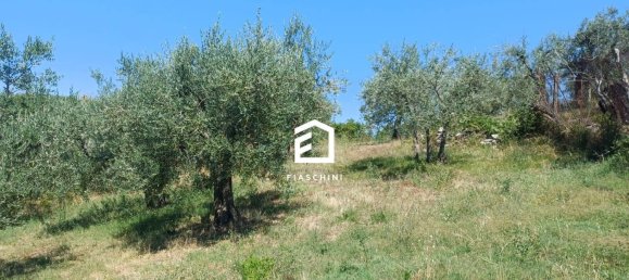 2 bedrooms House in Guardea, Italy No. 269047 12