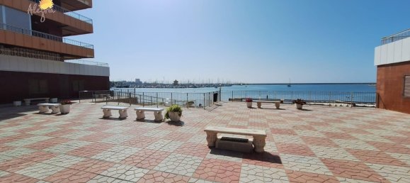 Apartamento de 3 dormitorios en Torrevieja, Spain No. 146801 27