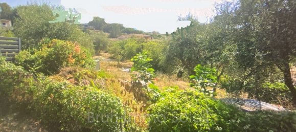 1664m² Land in Cagnes-sur-Mer, France No. 342874 2