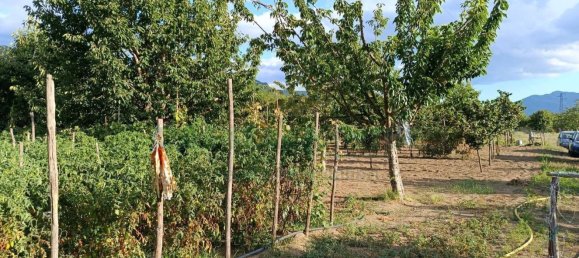 Земельный участок 5300м² в Монторо, Италия № 296277 8