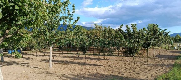 Земельный участок 5300м² в Монторо, Италия № 296277 10