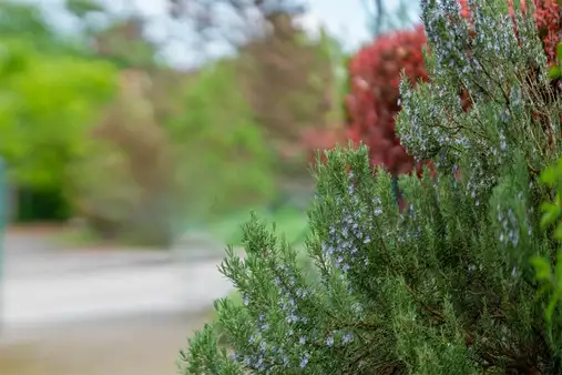 6 bedrooms House in Breisgau-Hochschwarzwald, Germany No. 332970