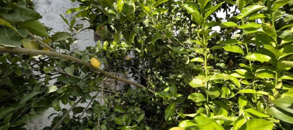 3 Schlafzimmer Haus in Santarem, Portugal, Nr. 224031 3