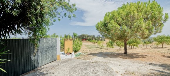 3 Schlafzimmer Haus in Santarem, Portugal, Nr. 224031 16