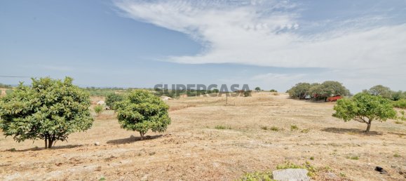 3 Schlafzimmer Haus in Santarem, Portugal, Nr. 224031 8