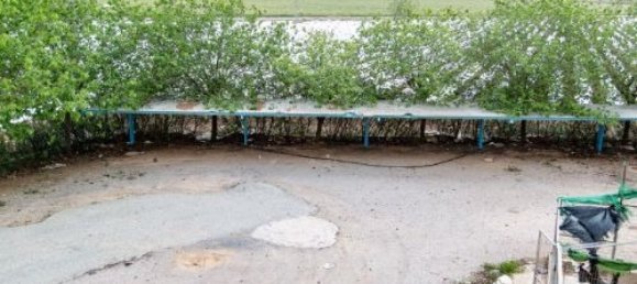 Gebäude in Cartagena, Spain 1500m², Nr. 61748 47