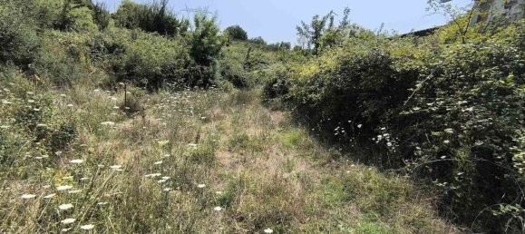 Grundstück in Barberino di Mugello, Italy, Nr. 327856 16