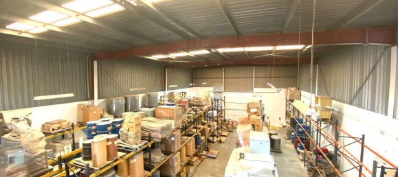 850m² Warehouse in Churriana, Spain No. 156169 16