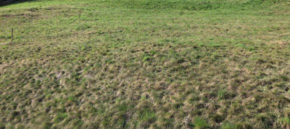 1191m² Land in St. Andra, Austria No. 260863 8