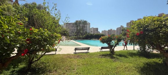 Apartamento T3 em Alicante, Spain N.º 187884 28