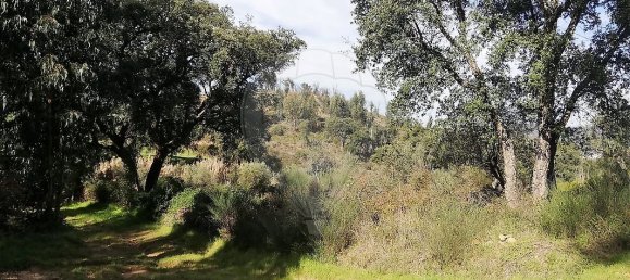 3 غرف نوم منزل في Santa Margarida da Coutada, Portugal رقم 25530 4