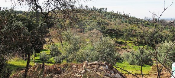 3 غرف نوم منزل في Santa Margarida da Coutada, Portugal رقم 25530 3