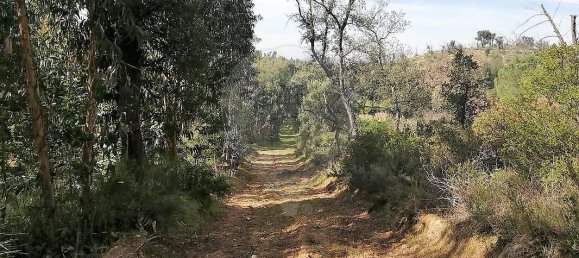 3 غرف نوم منزل في Santa Margarida da Coutada, Portugal رقم 25530 5