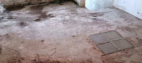 3 Schlafzimmer Haus in Nisa, Portugal, Nr. 29592 38